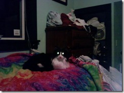 Wesley will smite you with his Glowing Eyes of Doom.