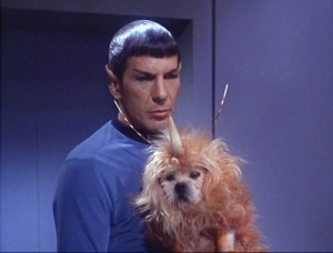 spock-unicorn-dog_thumb.jpg