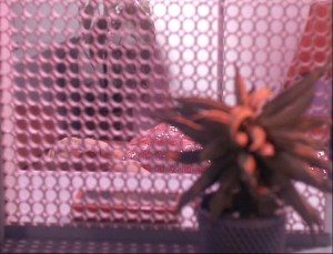 eve-in-kirks-quarters